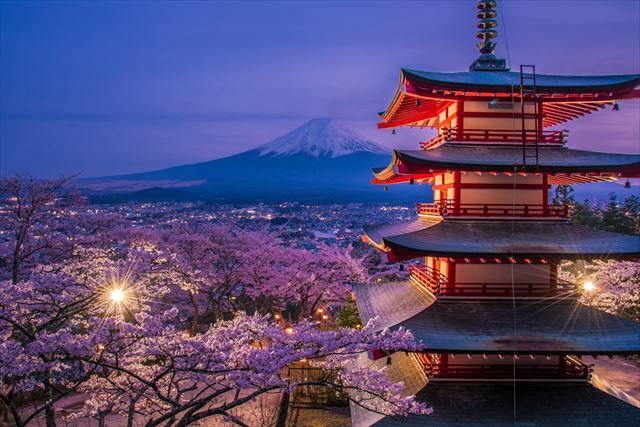 富士山とライトアップされた建物と桜