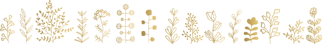 植物のイラスト