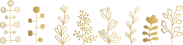 植物のイラスト