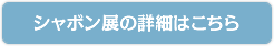 シャボン展の詳細はこちら