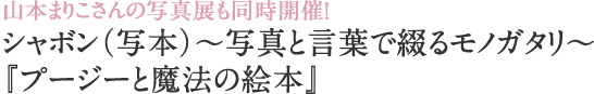 シャボン（写本）～写真と言葉で綴るモノガタリ～『プージーと魔法の絵本』