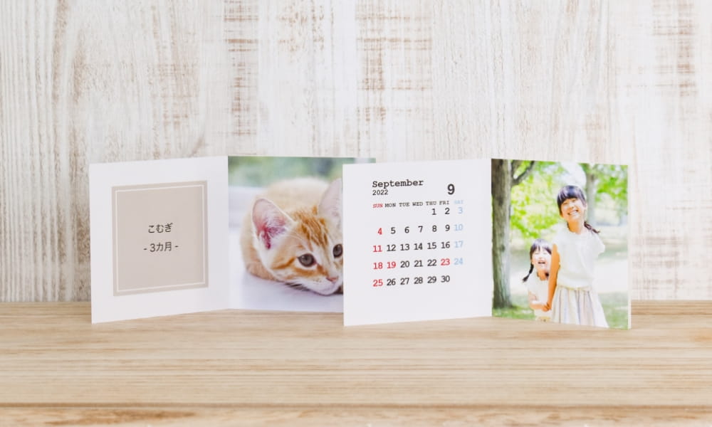 Petit Photo Panel