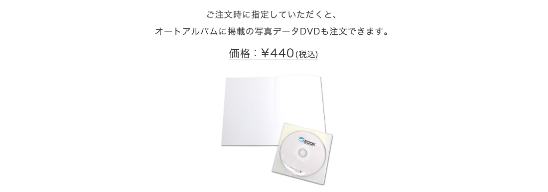 データDVD（オプション）