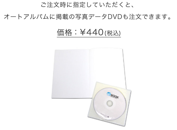 データDVD（オプション）