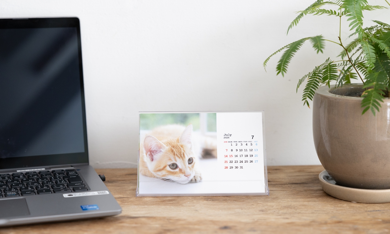 postcardcalendarのイメージ3
