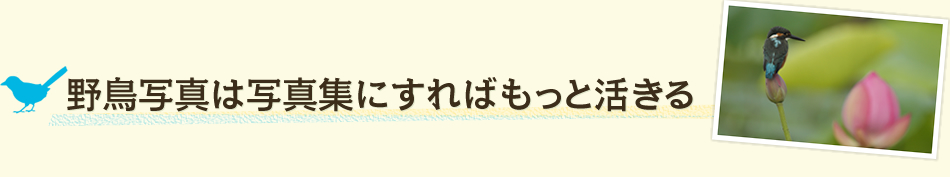 野鳥写真は写真集にすればもっと活きる