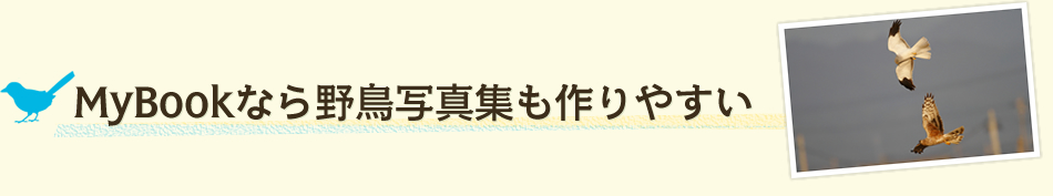 MyBookなら野鳥写真集も作りやすい