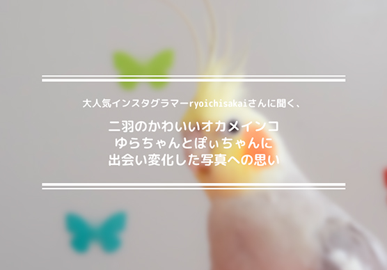 大人気インスタグラマーryoichisakaiさんに聞く、二羽のかわいいオカメインコ ゆらちゃんとぽぃちゃんに出会い変化した写真への思い