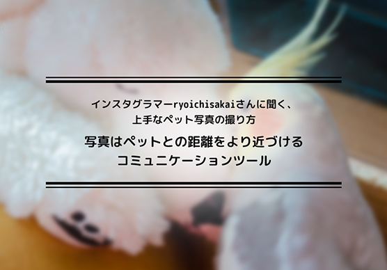 インスタグラマーryoichisakaiさんに聞く、上手なペット写真の撮り方 写真はペットとの距離をより近づけるコミュニケーションツール