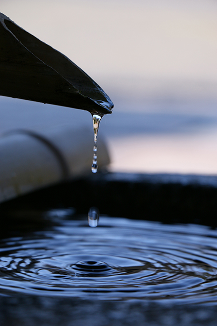 水滴がしたたり落ちる瞬間