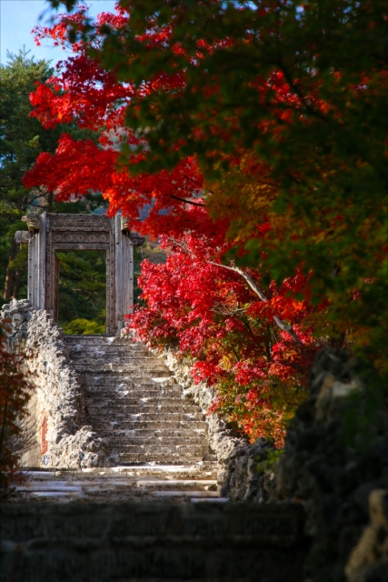 ベタ塗りのようになってしまった紅葉