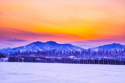 雪景色撮影