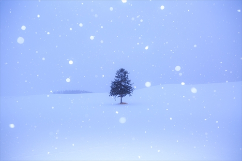 雪景色撮影