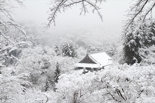 雪景色撮影