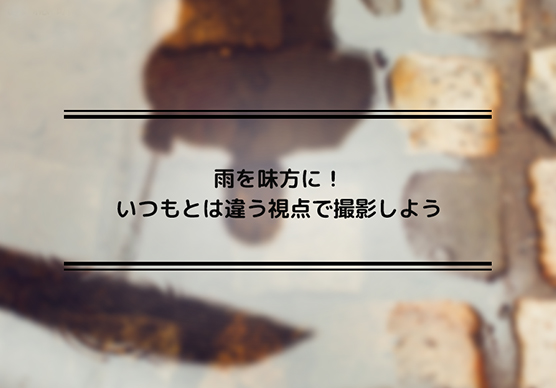 雨を味方に！いつもとは違う視点で撮影しよう