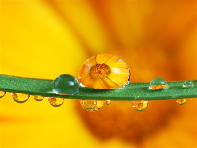 雨の世界に魅了されて