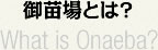 ポートフォリオとは？