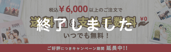 税込6,000円以上のご注文で！いつでも♪送料＆支払手数料無料キャンペーン☆