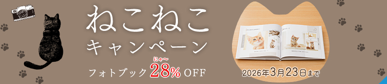 ねこねこキャンペーン開催！フォトブックが今なら28%OFF★