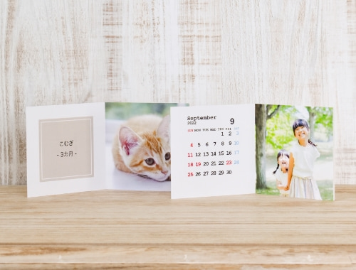 Petit Photo Panel