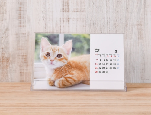 Postcard Calendar