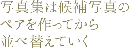 写真集は候補写真のペアを作ってから並べ替えていく