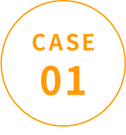 CASE 01