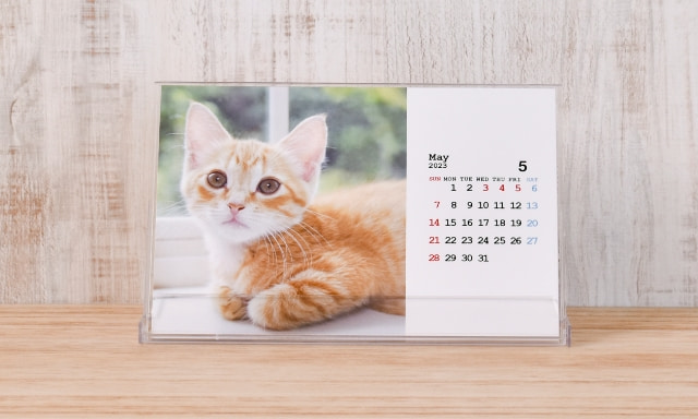 Postcard Calendar
